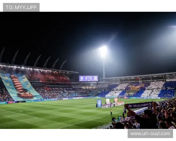 山东泰山与天津津门虎主场对比分析：济南奥体与泰达足球场的设施与发展